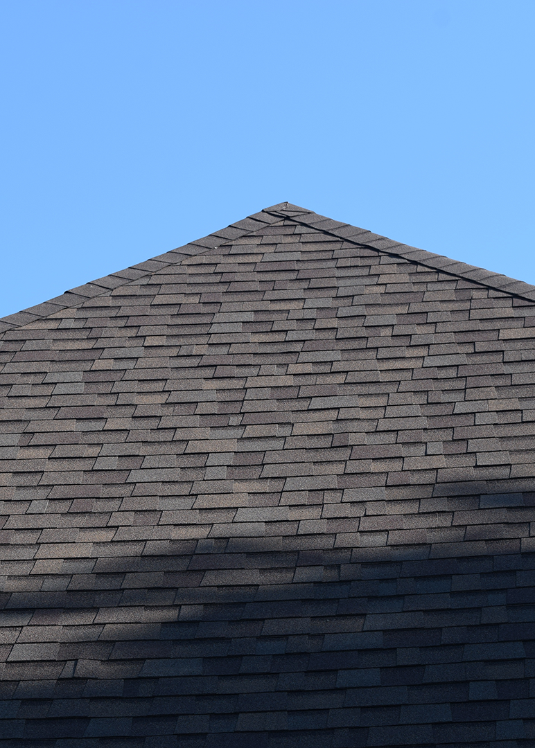 Asphalt Shingle